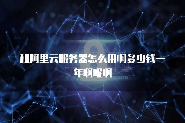 租阿里云服务器怎么用啊多少钱一年啊呢啊