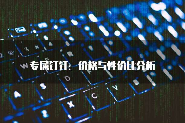 专属钉钉:价格与性价比分析