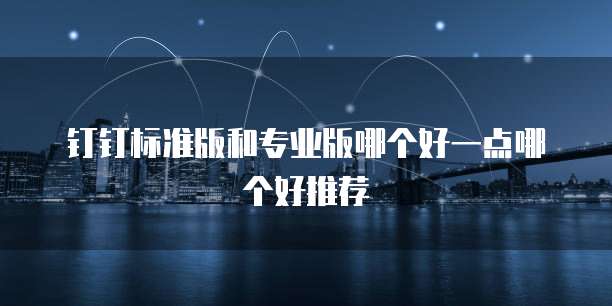 钉钉标准版和专业版哪个好一点哪个好推荐