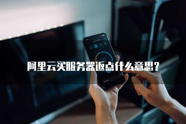 阿里云买服务器返点什么意思?
