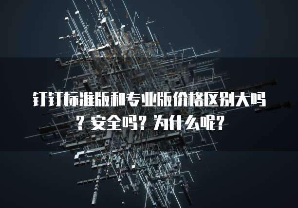 钉钉标准版和专业版价格区别大吗？安全吗？为什么呢？