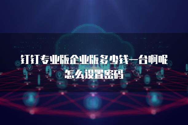 钉钉专业版企业版多少钱一台啊呢怎么设置密码