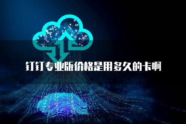 钉钉专业版价格是用多久的卡啊