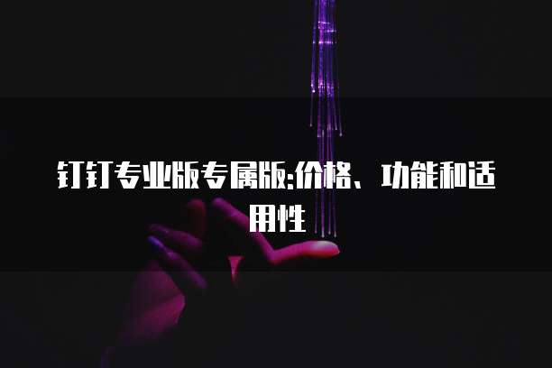 钉钉专业版专属版:价格、功能和适用性