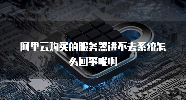 阿里云购买的服务器进不去系统怎么回事呢啊