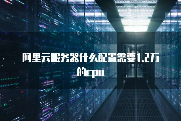 阿里云服务器什么配置需要1.2万的cpu