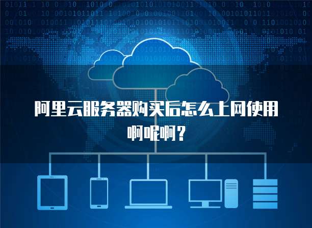 阿里云服务器购买后怎么上网使用啊呢啊?