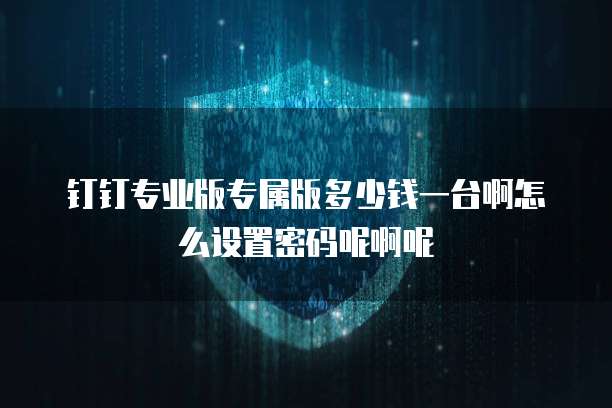 钉钉专业版专属版多少钱一台啊怎么设置密码呢啊呢