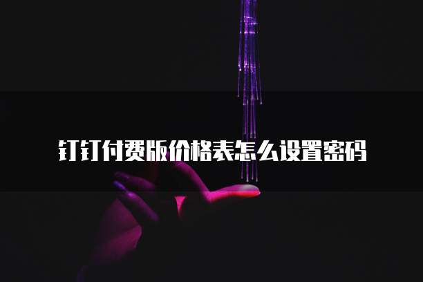 钉钉付费版价格表怎么设置密码