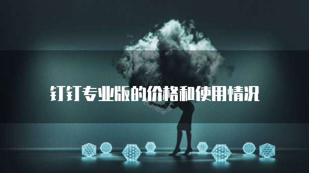 钉钉专业版的价格和使用情况