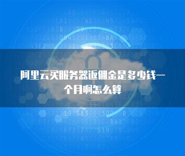 阿里云买服务器返佣金是多少钱一个月啊怎么算