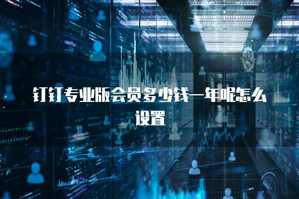 钉钉专业版会员多少钱一年呢怎么设置