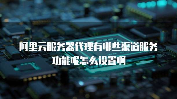 阿里云服务器代理有哪些渠道服务功能呢怎么设置啊
