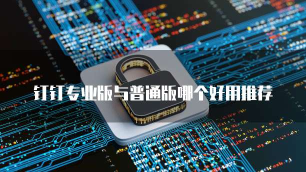 钉钉专业版与普通版哪个好用推荐