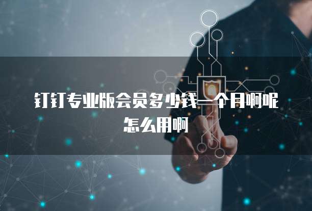 钉钉专业版会员多少钱一个月啊呢怎么用啊