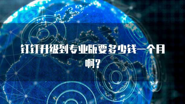 钉钉升级到专业版要多少钱一个月啊?