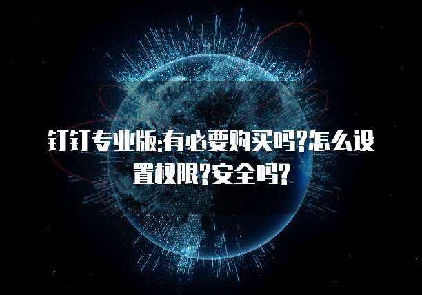 钉钉专业版:有必要购买吗?怎么设置权限?安全吗?
