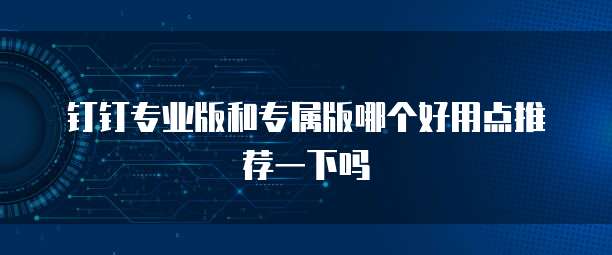 钉钉专业版和专属版哪个好用点推荐一下吗