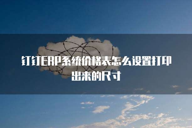 钉钉erp系统价格表怎么设置打印出来的尺寸