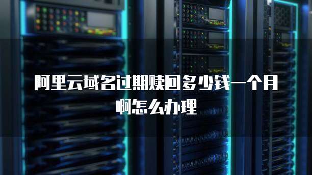 阿里云域名过期赎回多少钱一个月啊怎么办理