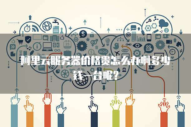 阿里云服务器价格贵怎么办啊多少钱一台呢?