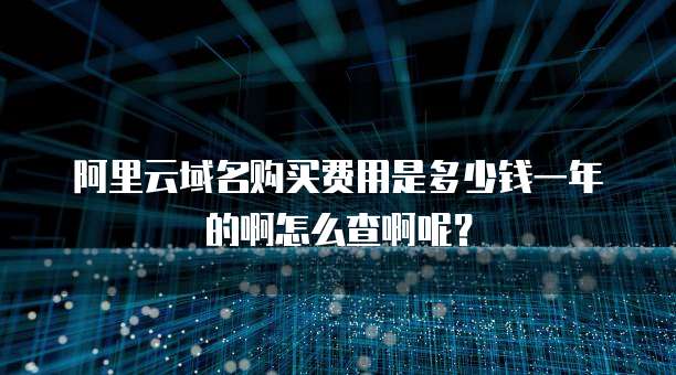 阿里云域名购买费用是多少钱一年的啊怎么查啊呢?