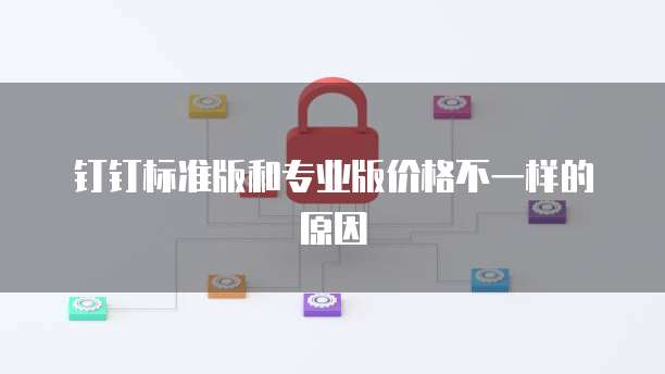 钉钉标准版和专业版价格不一样的原因