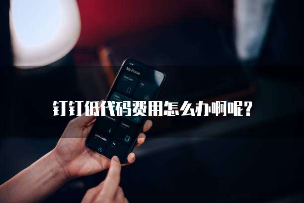 钉钉低代码费用怎么办啊呢?