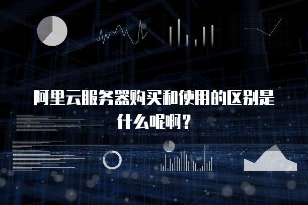 阿里云服务器购买和使用的区别是什么呢啊?