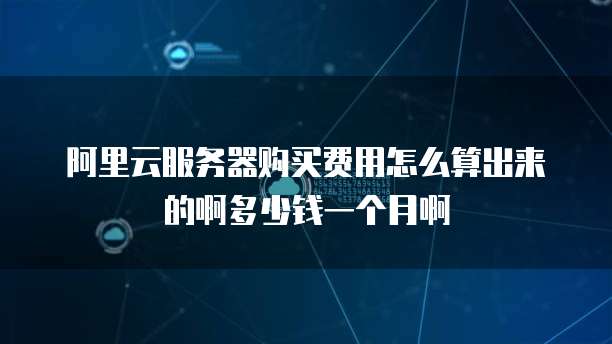 阿里云服务器购买费用怎么算出来的啊多少钱一个月啊