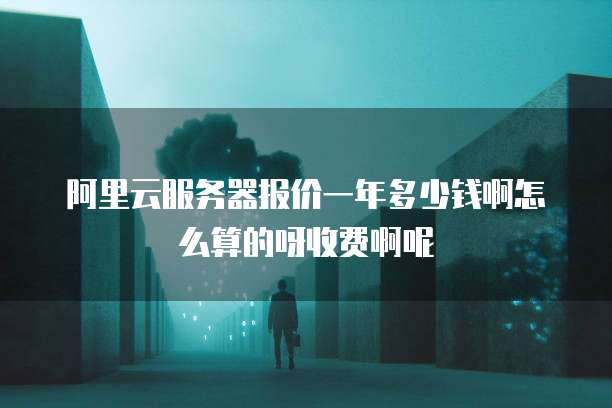 阿里云服务器报价一年多少钱啊怎么算的呀收费啊呢