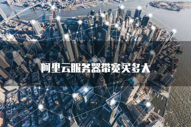 阿里云服务器带宽买多大