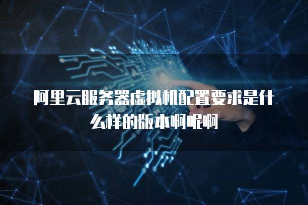 阿里云服务器虚拟机配置要求是什么样的版本啊呢啊