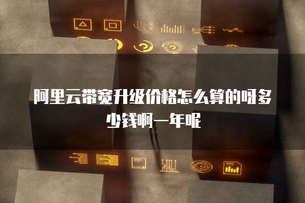 阿里云带宽升级价格怎么算的呀多少钱啊一年呢