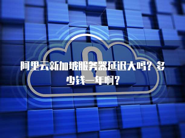 阿里云新加坡服务器延迟大吗?多少钱一年啊?