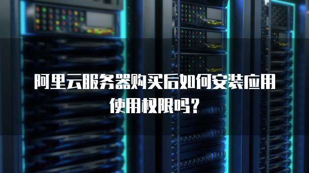 阿里云服务器购买后如何安装应用使用权限吗?