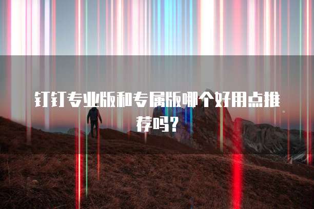 钉钉专业版和专属版哪个好用点推荐吗?