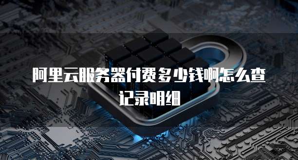 阿里云服务器付费多少钱啊怎么查记录明细