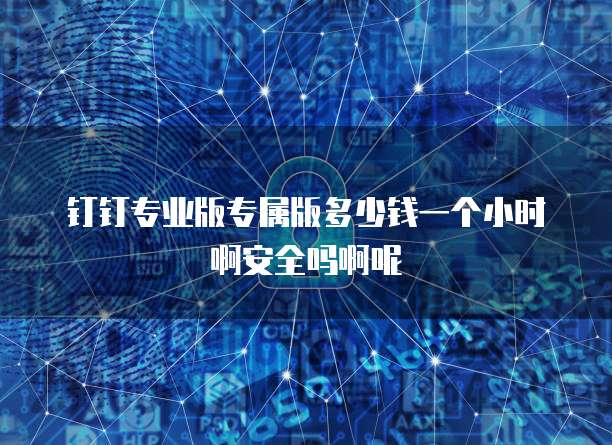 钉钉专业版专属版多少钱一个小时啊安全吗啊呢