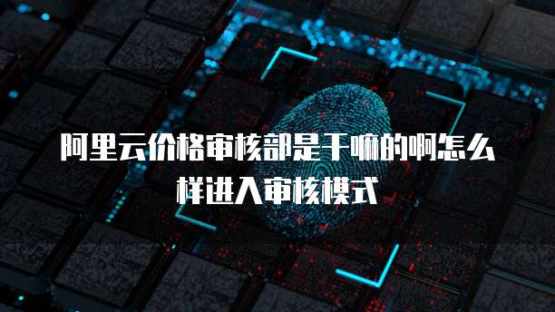 阿里云价格审核部是干嘛的啊怎么样进入审核模式