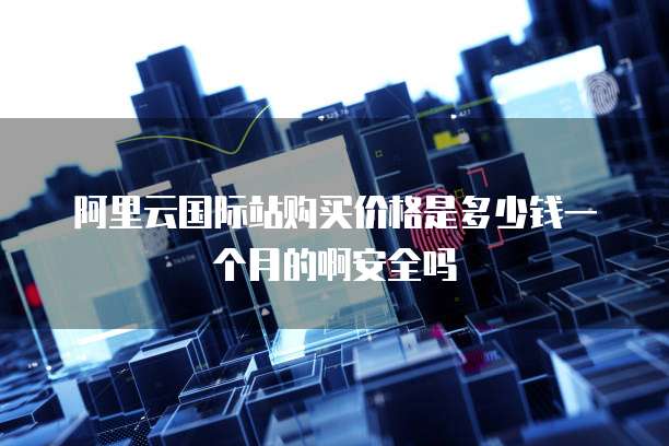 阿里云国际站购买价格是多少钱一个月的啊安全吗