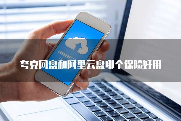 夸克网盘和阿里云盘哪个保险好用