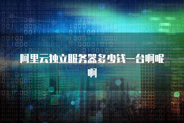 阿里云独立服务器多少钱一台啊呢啊