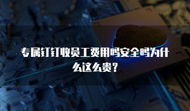 专属钉钉收员工费用吗安全吗为什么这么贵?