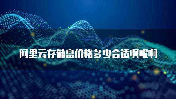 阿里云存储盘价格多少合适啊呢啊