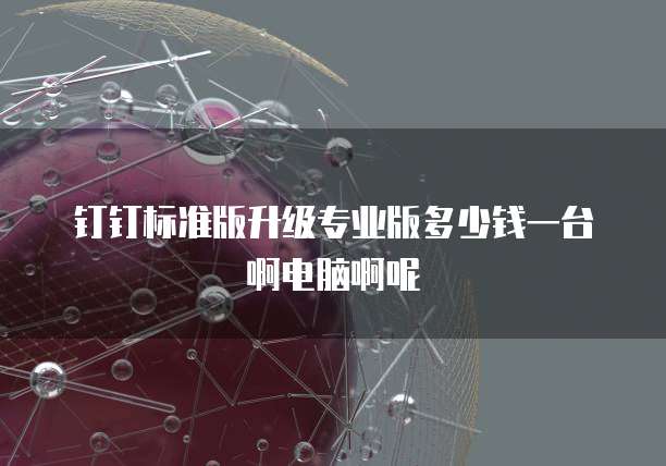钉钉标准版升级专业版多少钱一台啊电脑啊呢