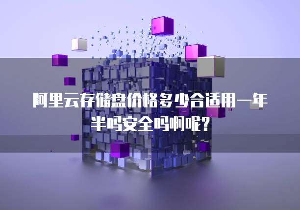 阿里云存储盘价格多少合适用一年半吗安全吗啊呢?