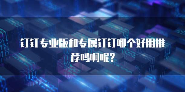 钉钉专业版和专属钉钉哪个好用推荐吗啊呢?