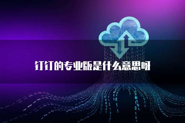 钉钉的专业版是什么意思呀