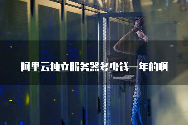 阿里云独立服务器多少钱一年的啊